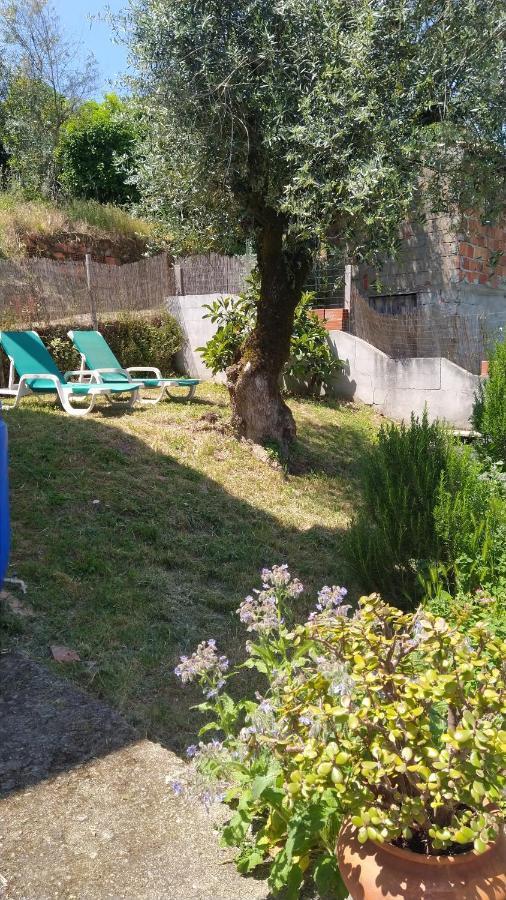 Casa Da Casimira Villa Miranda do Corvo Dış mekan fotoğraf