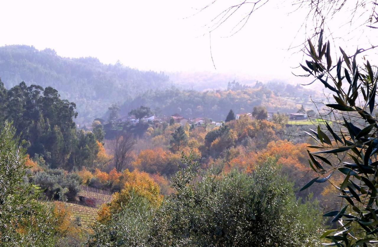 Casa Da Casimira Villa Miranda do Corvo Dış mekan fotoğraf